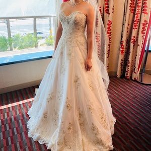 Stunning wedding dress!